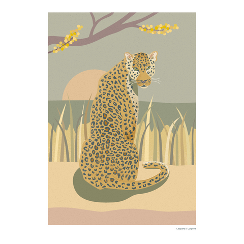 Print A3 African Wild Leopard