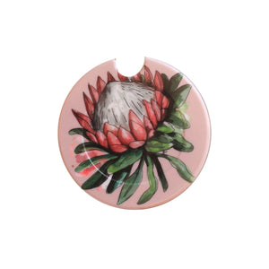 License disk Protea