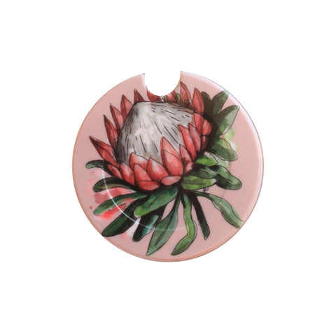 License disk Protea