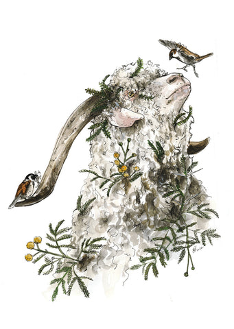 Card Angora goat