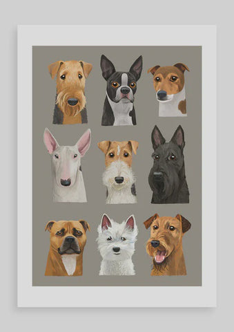 Print A4 Various-9LivesCats