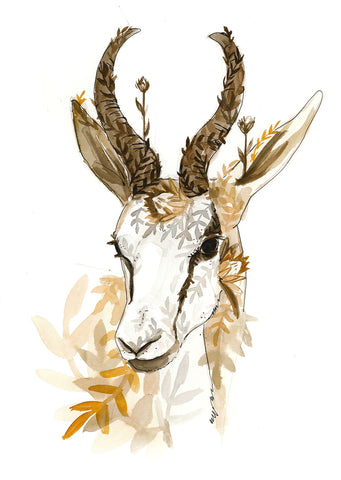 Card Springbok 1