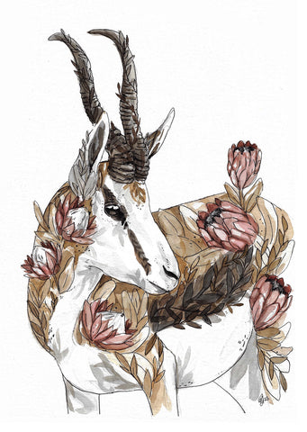 Card Springbok 2