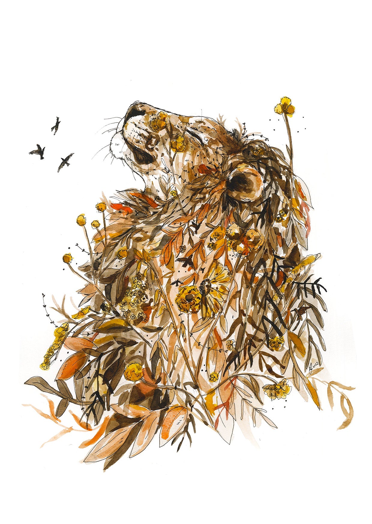 Card Lion 2