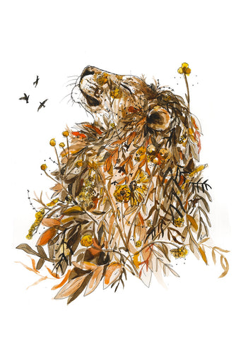 Card Lion 2