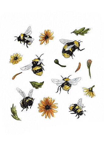 Card Bee