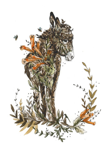 Card Donkey 3