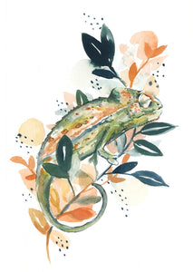 Card Chameleon