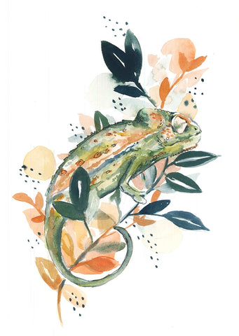 Card Chameleon