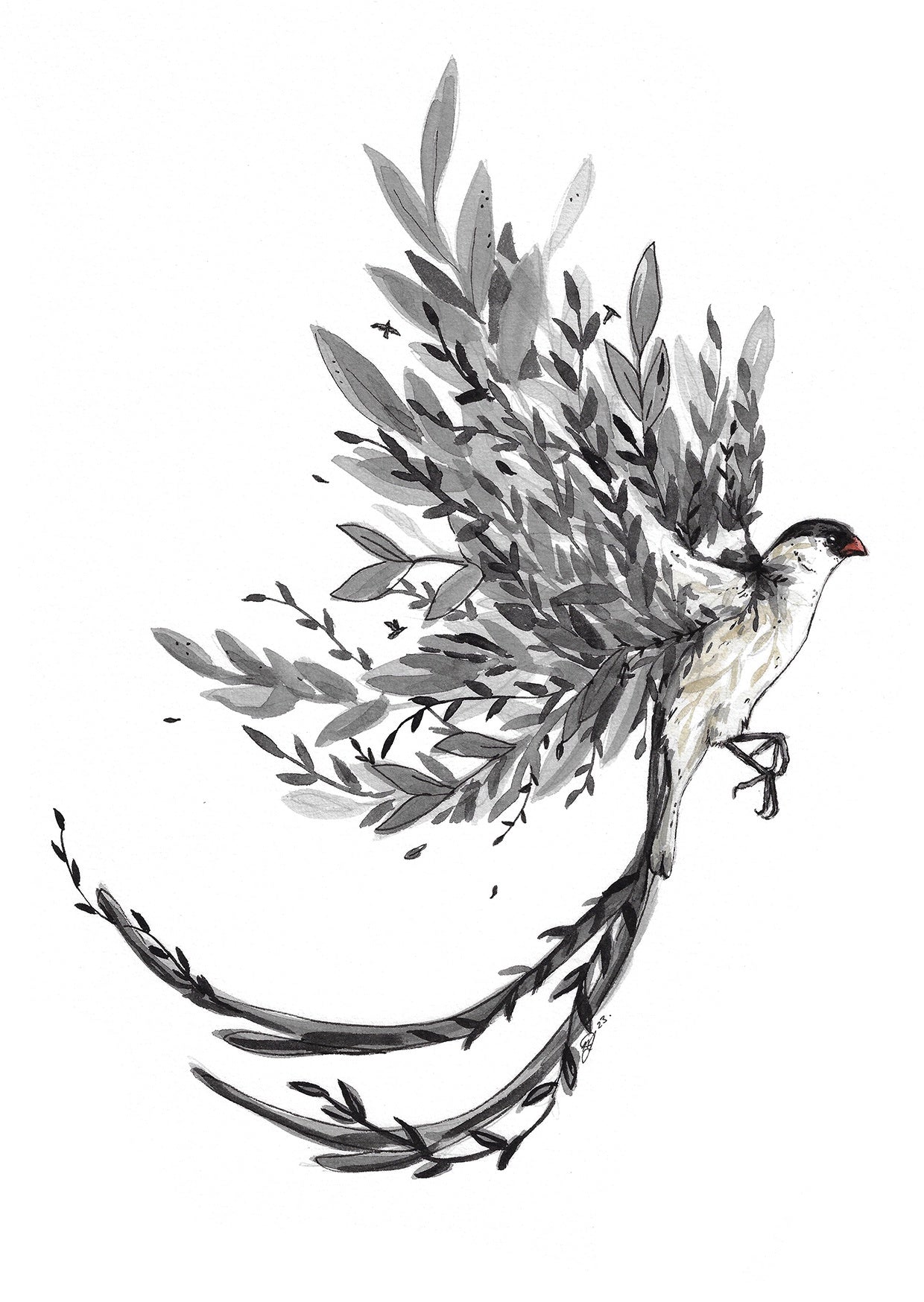 Card Bird