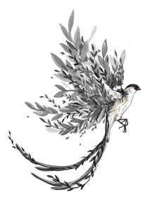 Card Bird