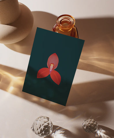 Card A6 Cape Disa