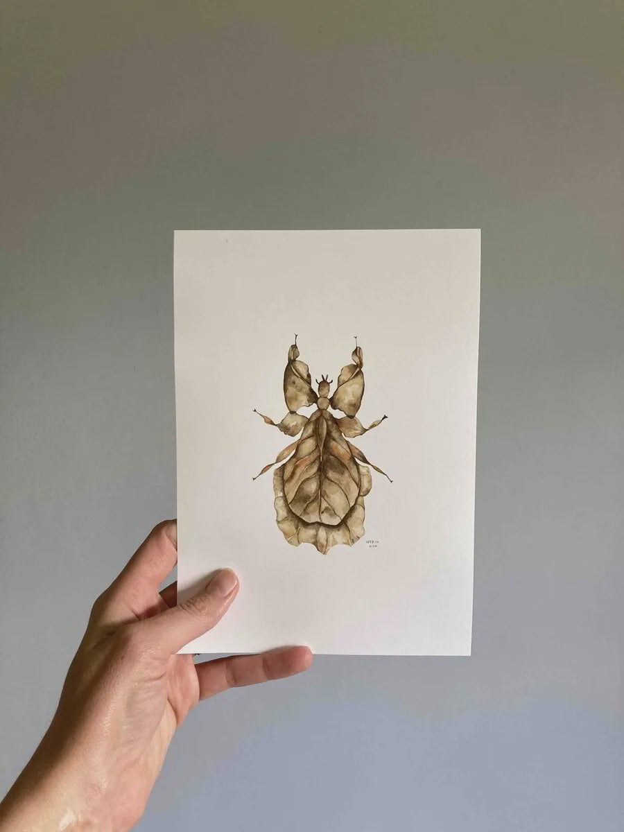 Print A5 Leaf Bug Brown