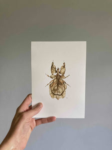 Print A5 Leaf Bug Brown