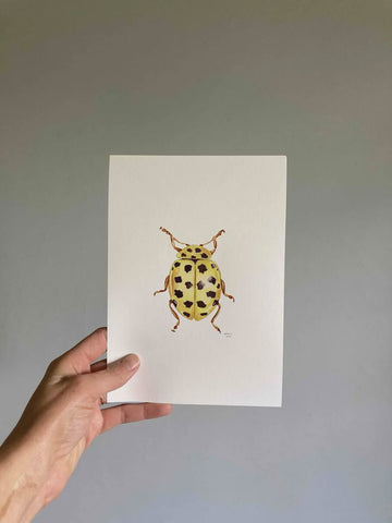 Print A5 22 Spotted Ladybird (yellow)