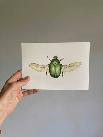 Print A5 Flying Green Chafer