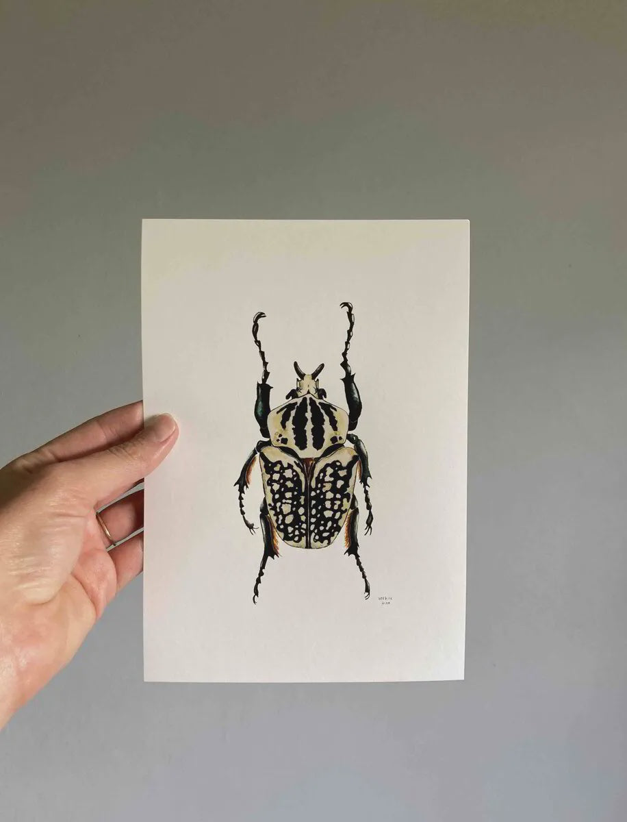 Print A5 Goliath