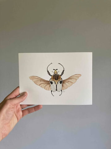 Print A5 Flying Goliath