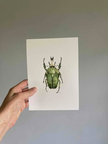 Print A5 Green Chafer