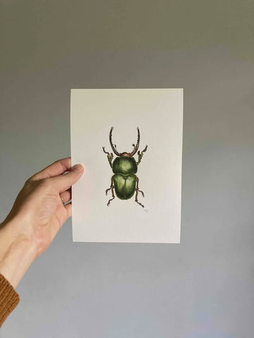 Print A5 Green StagBeetle