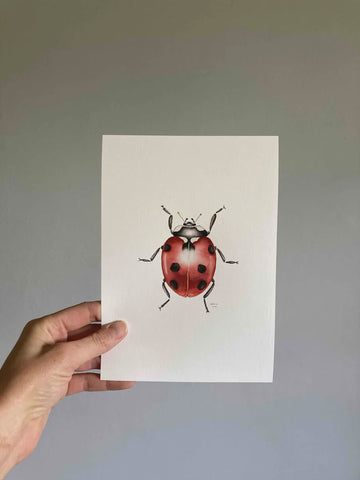 Print A5 Ladybird
