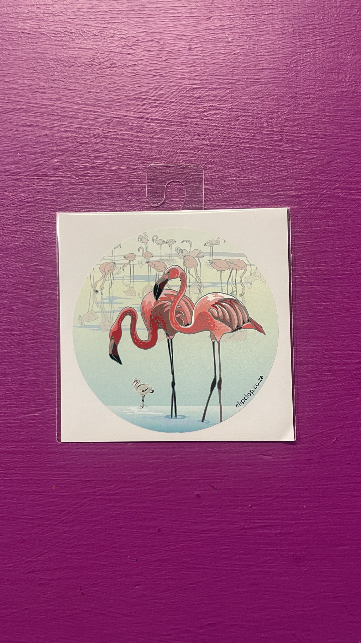 Sticker License Disc Flamingo