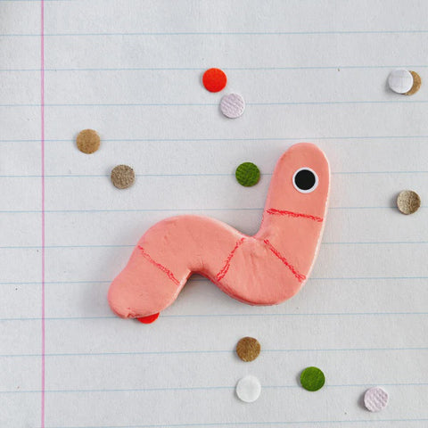Magnets Worm