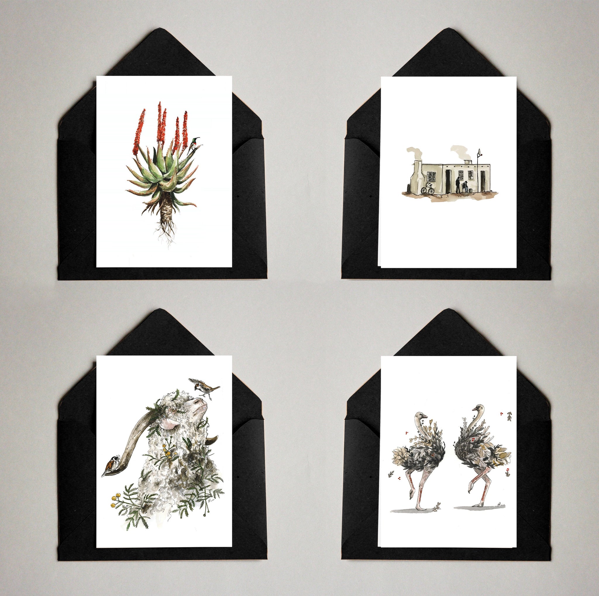 Card Pack of 4 Karoo