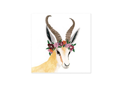 Card Square Springbok