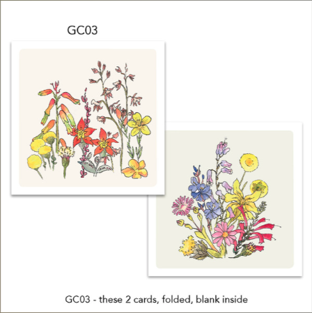 Greeting Cards (2 Pack) Fynbos Flowers: Colourful