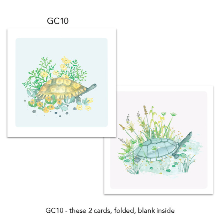 Greeting Cards (2 Pack) Tortoise, Terrapin