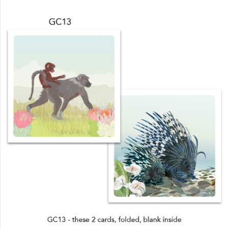 Greeting Cards (2 Pack) Baboon, Porcupine