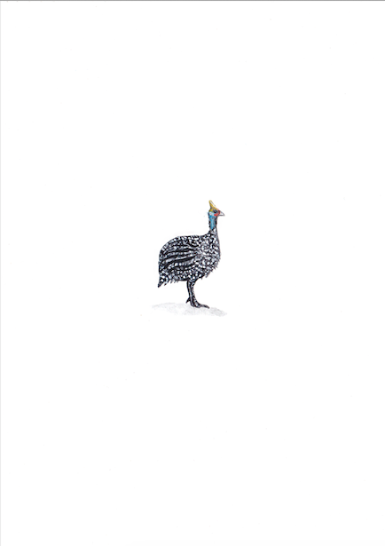 Print Guineafowl A5