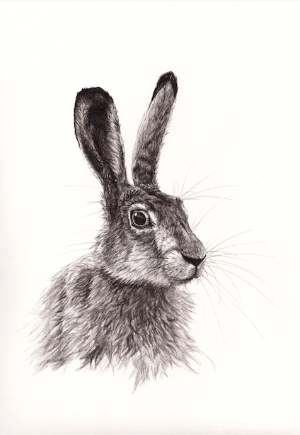 Print Hare A4