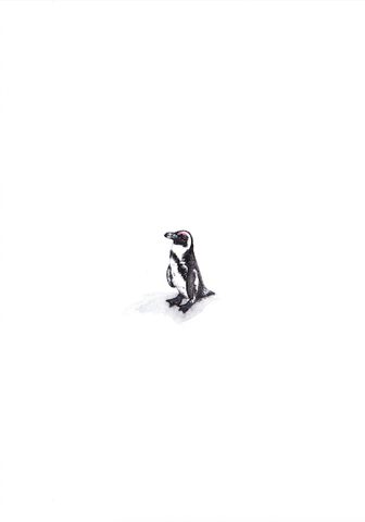 Print Penguin A5