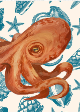 Card Octo Orange
