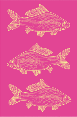 Card Pink Fish
