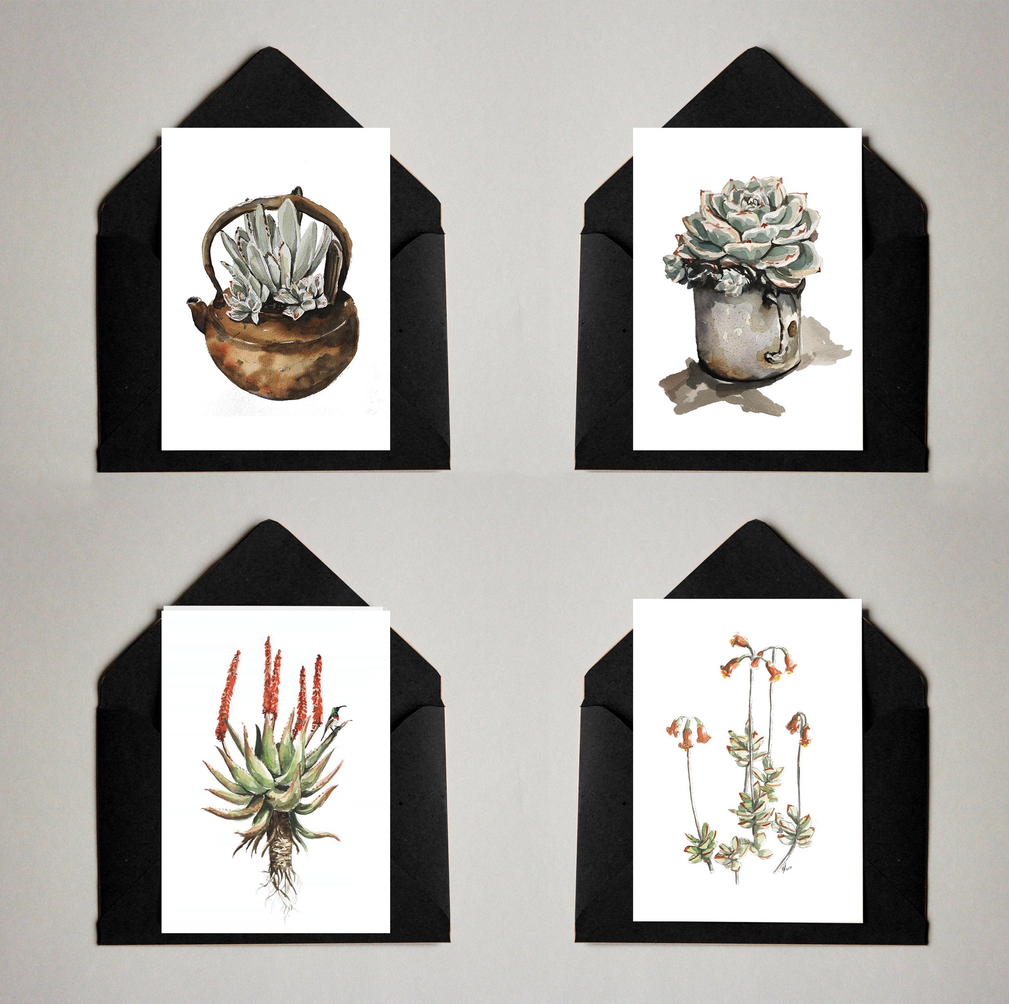 Card Pack of 4 Succulents