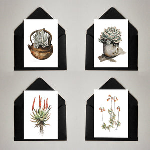 Card Pack of 4 Succulents