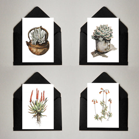 Card Pack of 4 Succulents