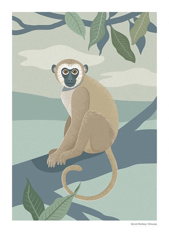 Print A4 African Monkey