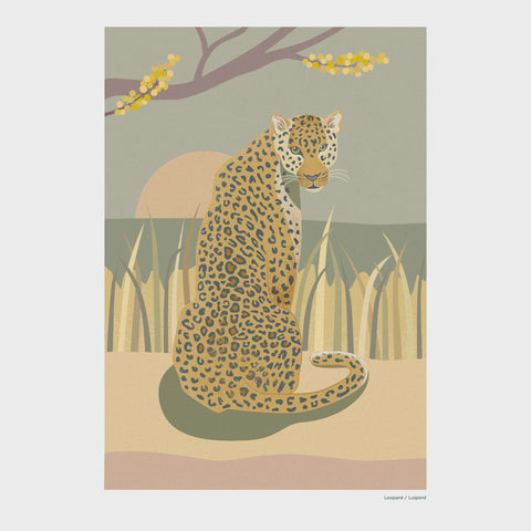 Print A4 African Wild Leopard