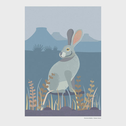 Print A4 African Wild Rabbit