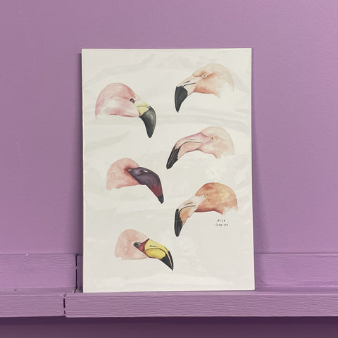 Print A4 Flamingos