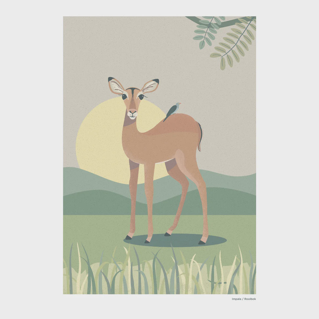 Print A4 African Wild Rooibok