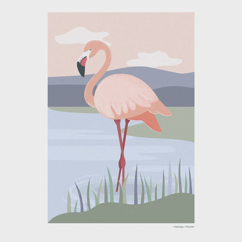 Print A4 African Wild Flamingo