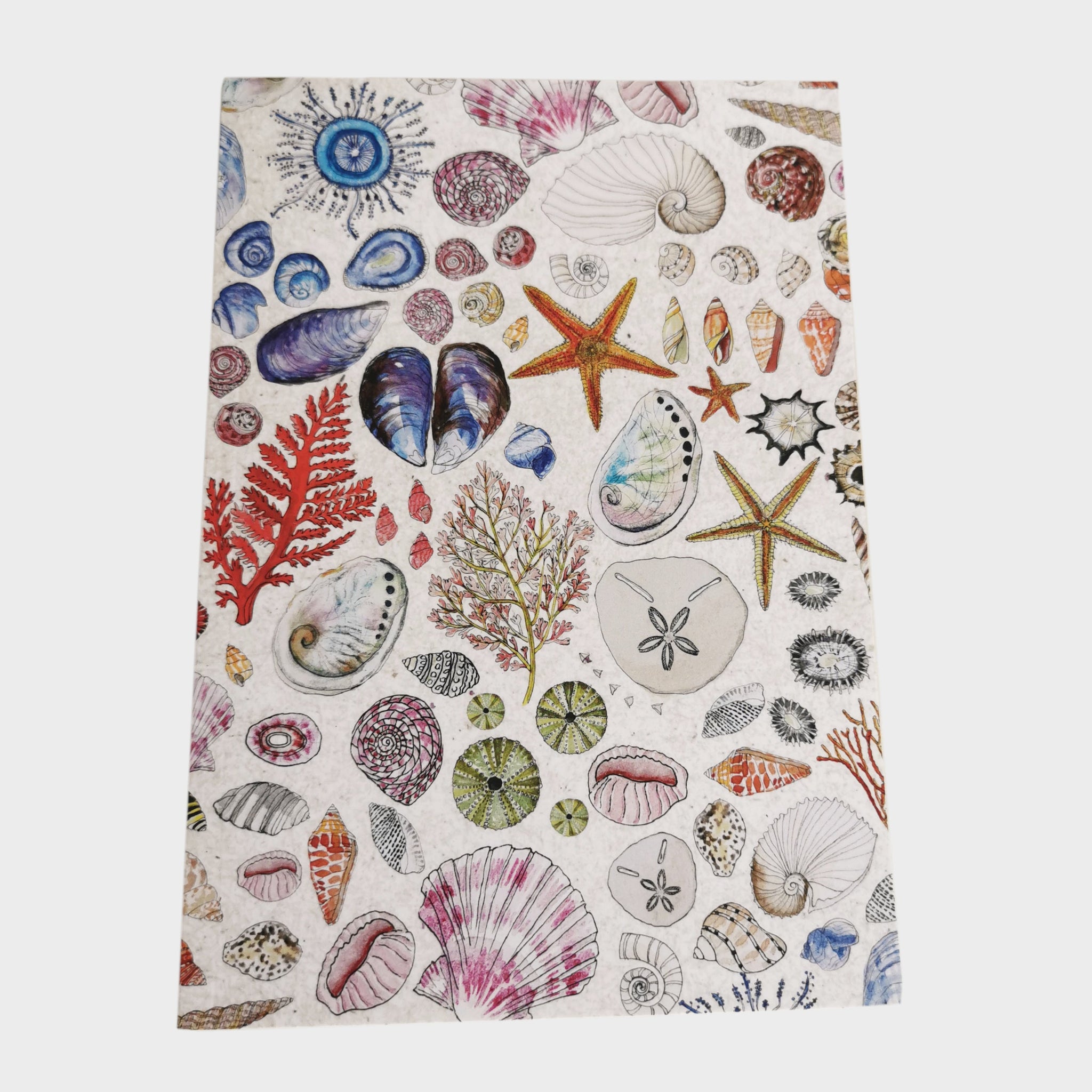 Journals A5 Softcover Seashells