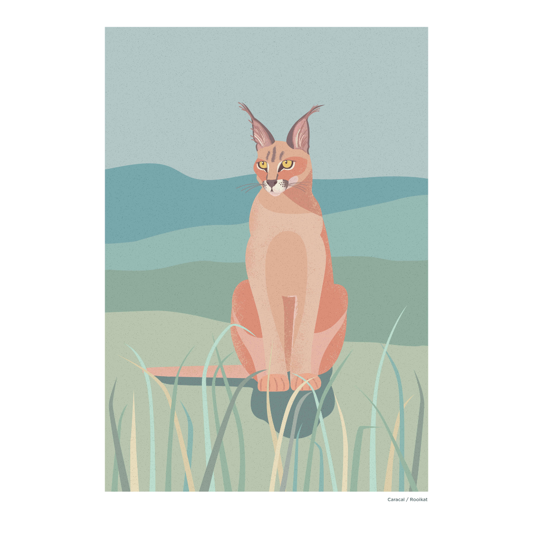 Print A4 African Wild Caracal