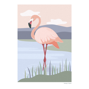 Print A4 African Wild Flamingo