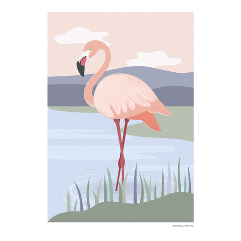 Print A3 African Wild Flamingo